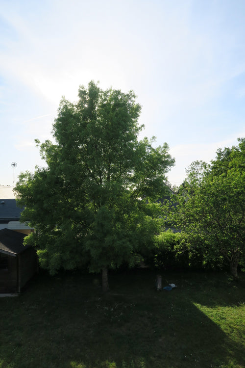 Placeholder Image 2